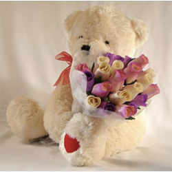 TEDDY BEAR WITH MULTICOLOR ROSES ! 
