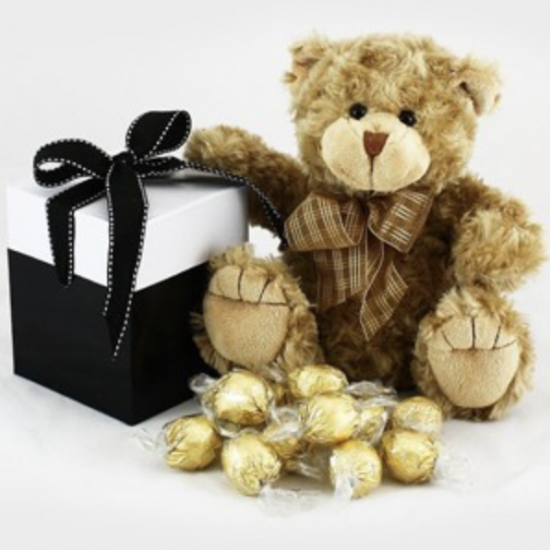  CHOCOLATED  TEDDY   !! 