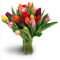 A MIXED COLOURS TULIPS BOUQUET ! 